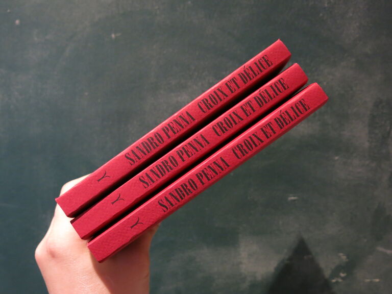 Croix et délice — Sandro Penna, Natalia Ginzburg, Amelia Rosselli, Pier Paolo Pasolini