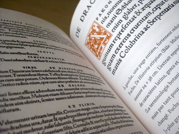 La forme solide du langage — Robert Bringhurst