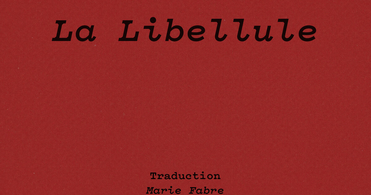 La Libellule Panégyrique de la liberté Amelia Rosselli Ypsilon éditeur