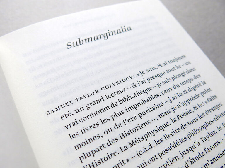 La marque de naissance — Susan Howe