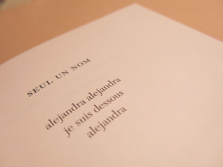 Les aventures perdues — Alejandra Pizarnik