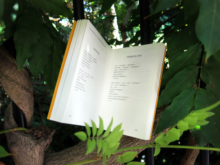 My Book — Else von Freytag-Loringhoven